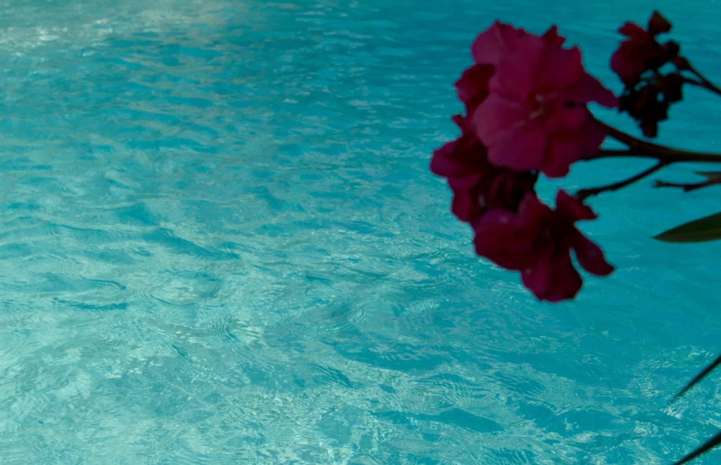 location de villa avec piscine privé